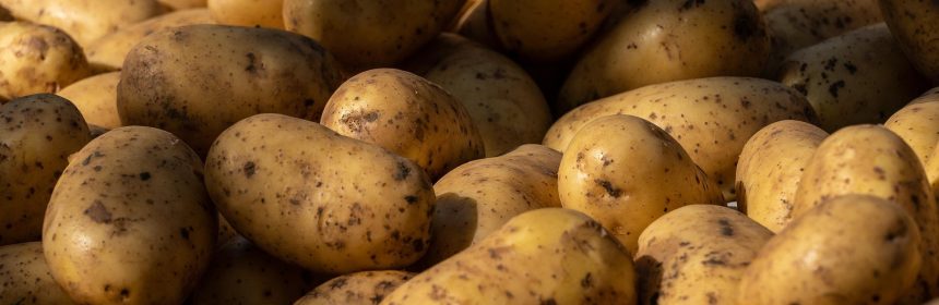 Potatoes Image